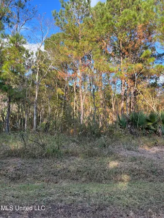 $6,000 | Marigold St Street, Bay St. Louis, MS 39520