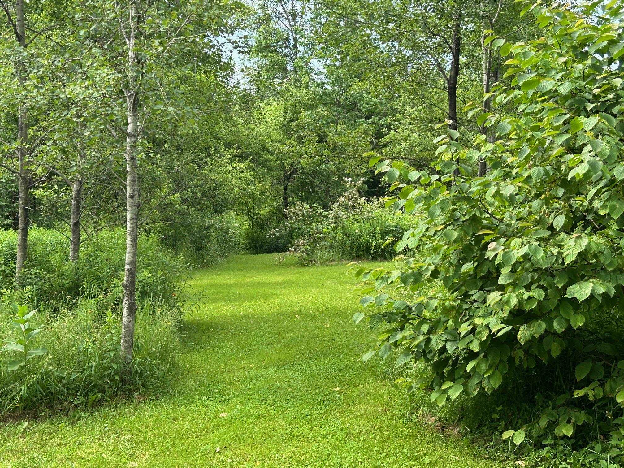 4 Dodge Road Elmore, VT 05680 - Photo 27 of 38