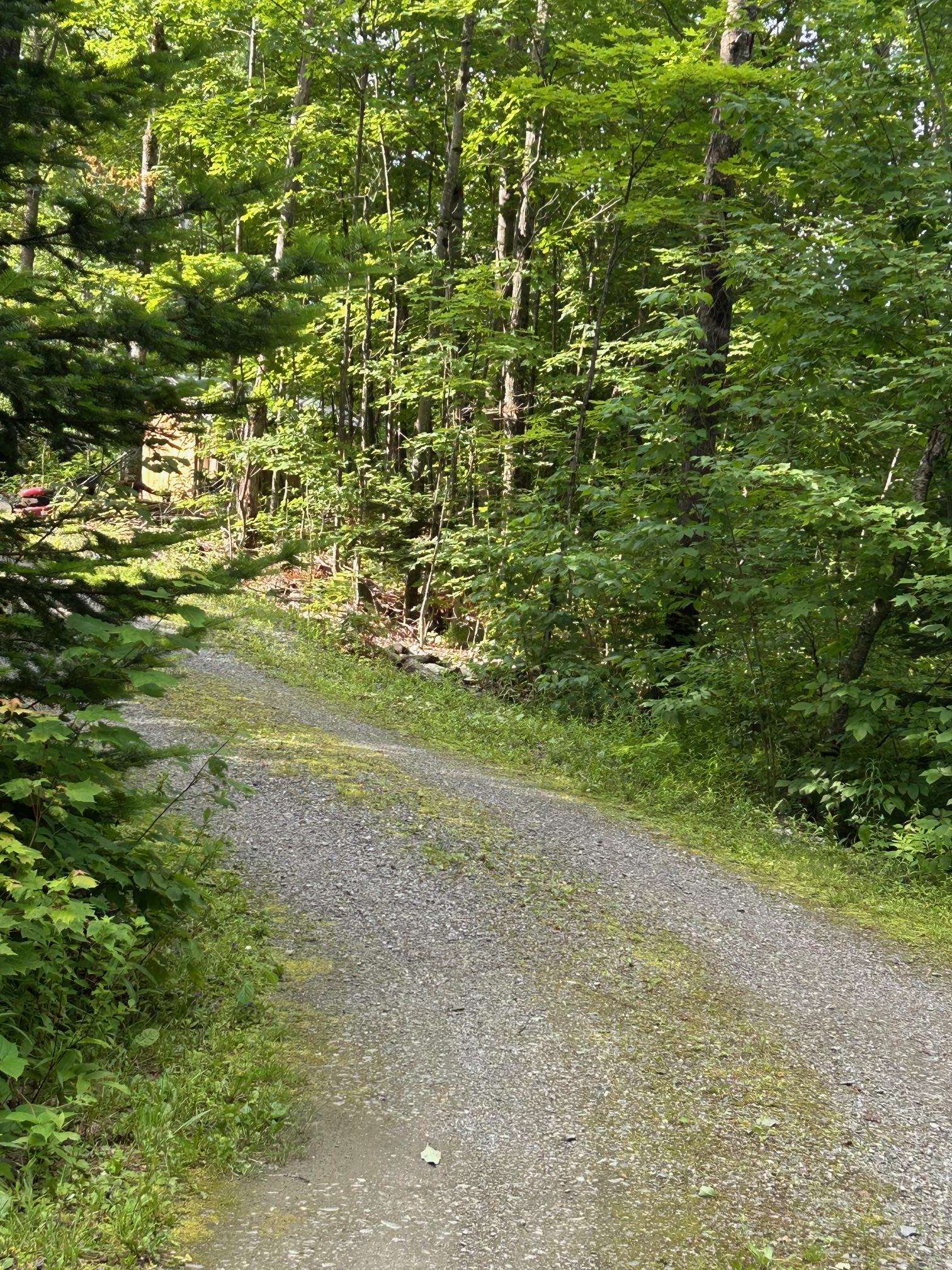 4 Dodge Road Elmore, VT 05680 - Photo 37 of 38