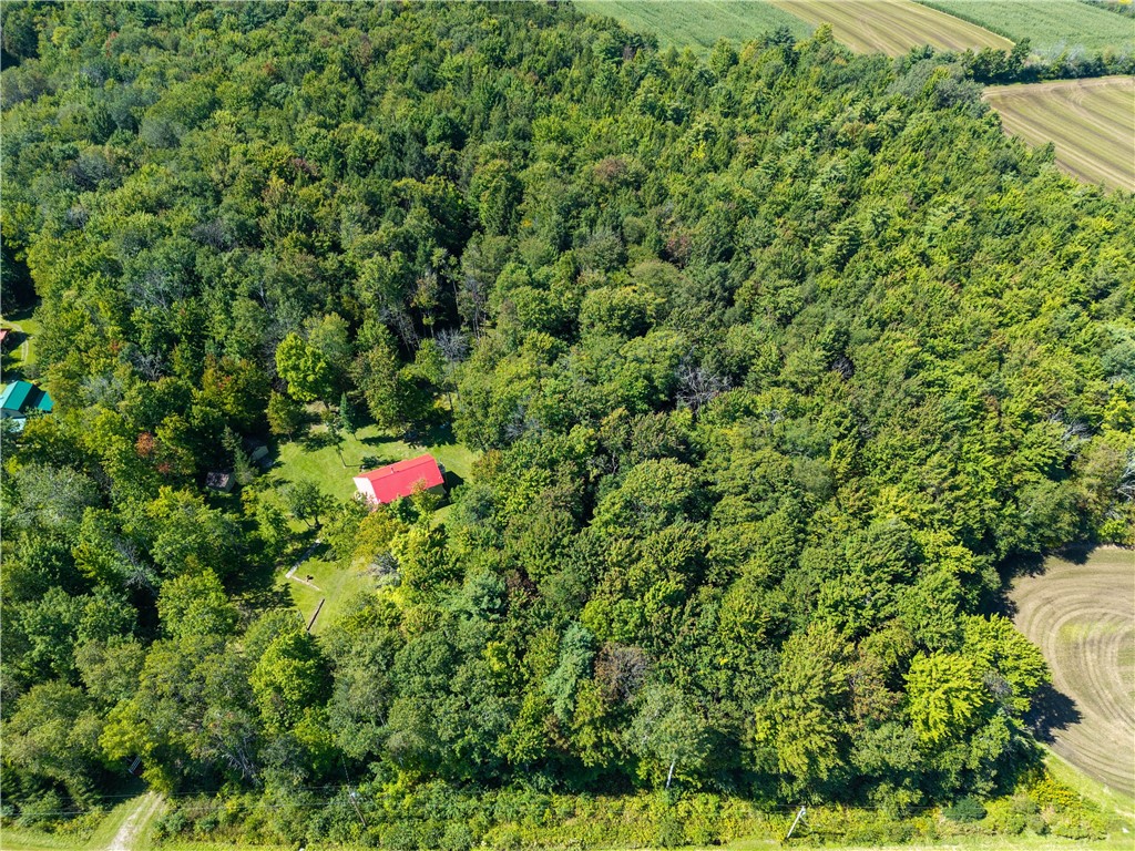 2750 County Road Almond, NY 14804 - Photo 37 of 40 Gallery Image 37