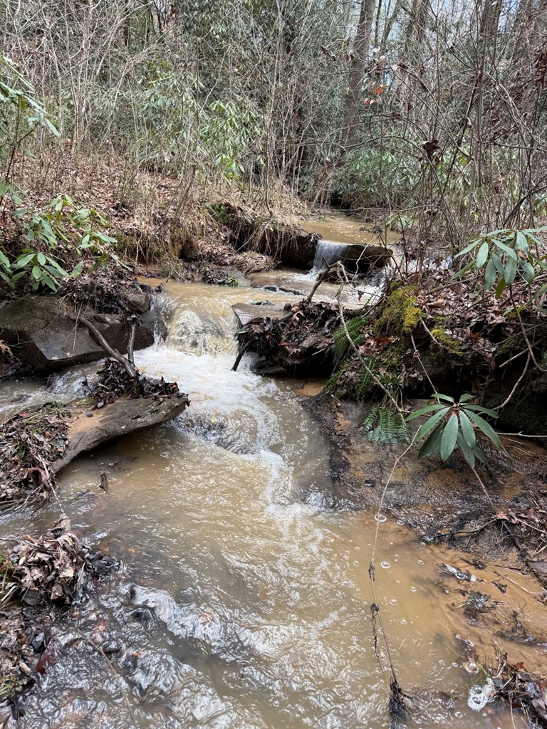 199 Piper Drive Murphy, NC 28906 - Photo 4 of 34