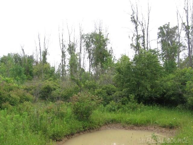 Tbd Sheridan Line Lexington, MI 48450 - Photo 12 of 14