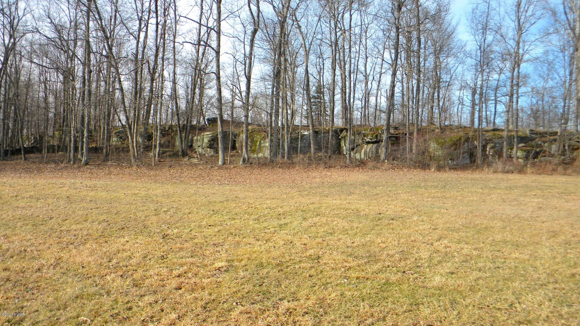 154 Sheards Road Milanville, PA 18443 - Photo 7 of 28 6-STONE WALLS