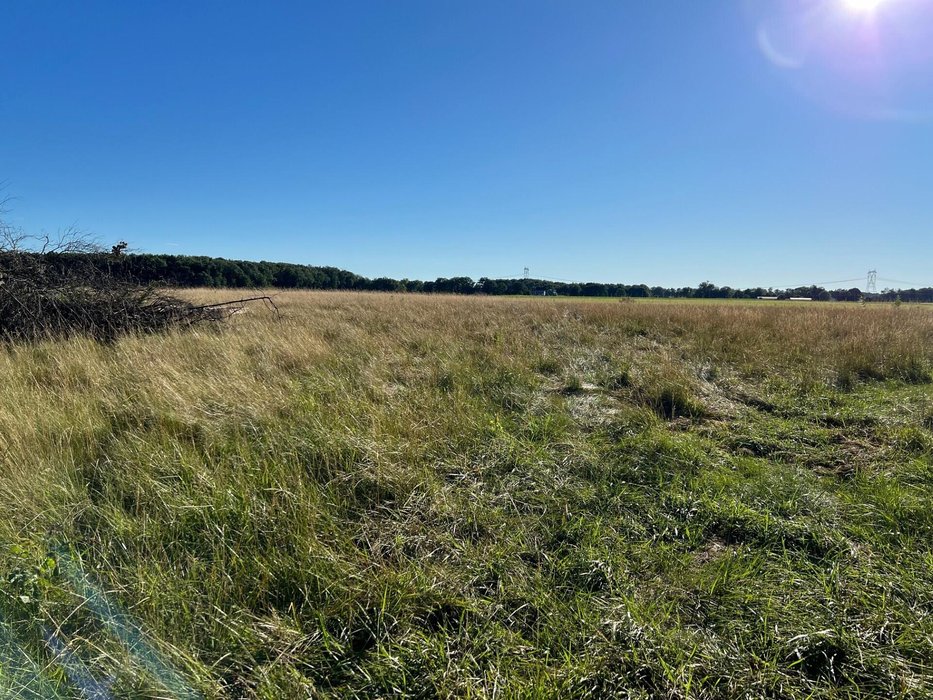 16244 Holden Road, Unit B3 Galien, MI 49113 - Photo 3 of 8 Lot B-3