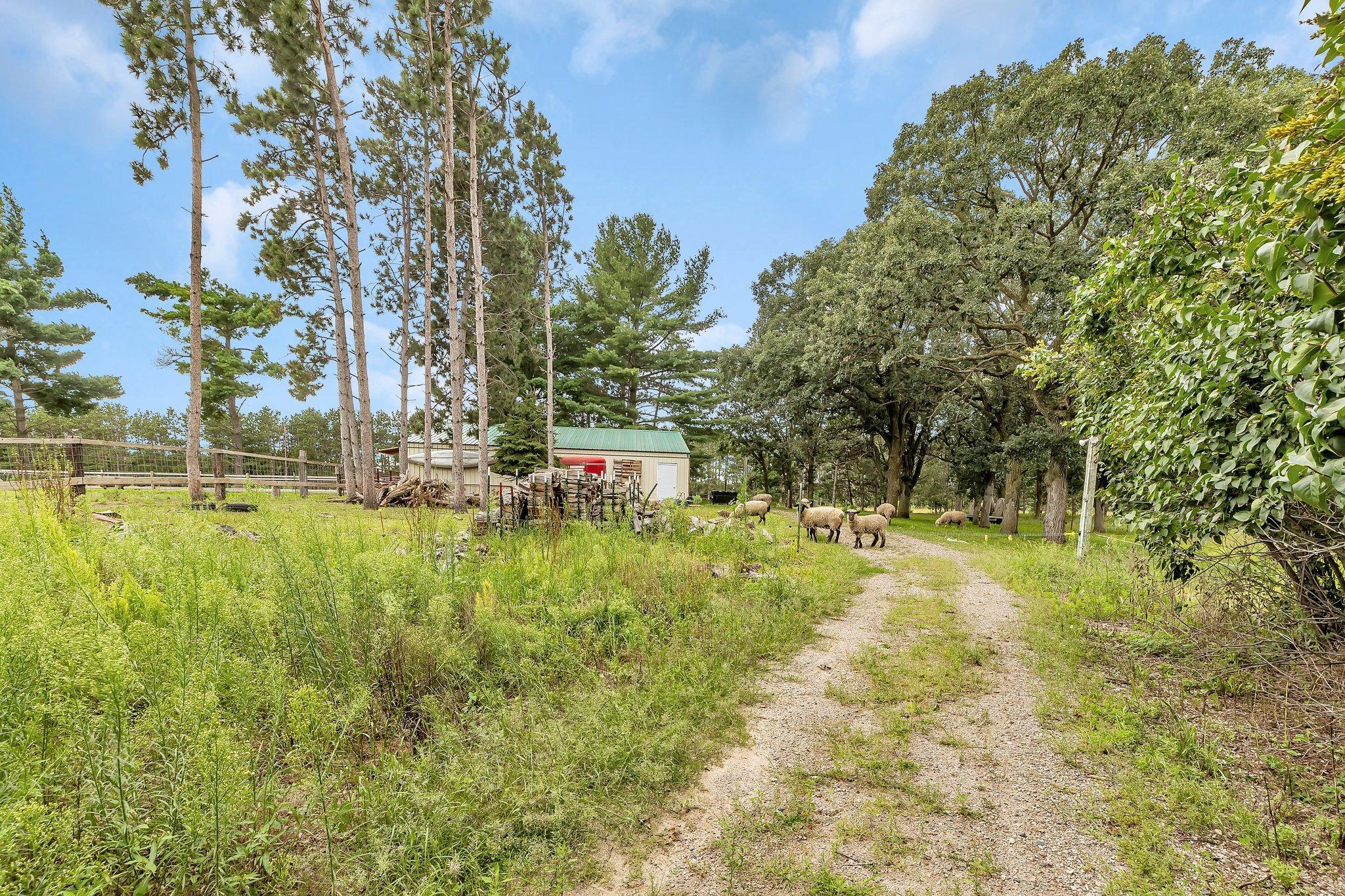 1085 125th Street Northwest Rice, MN 56367 - Photo 47 of 64