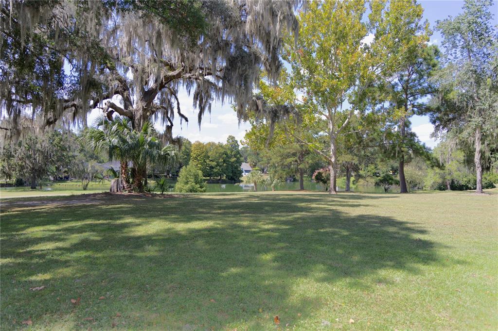 6494 Northwest 109th Place Alachua, FL 32615 - Photo 19 of 19 a view of field with trees
