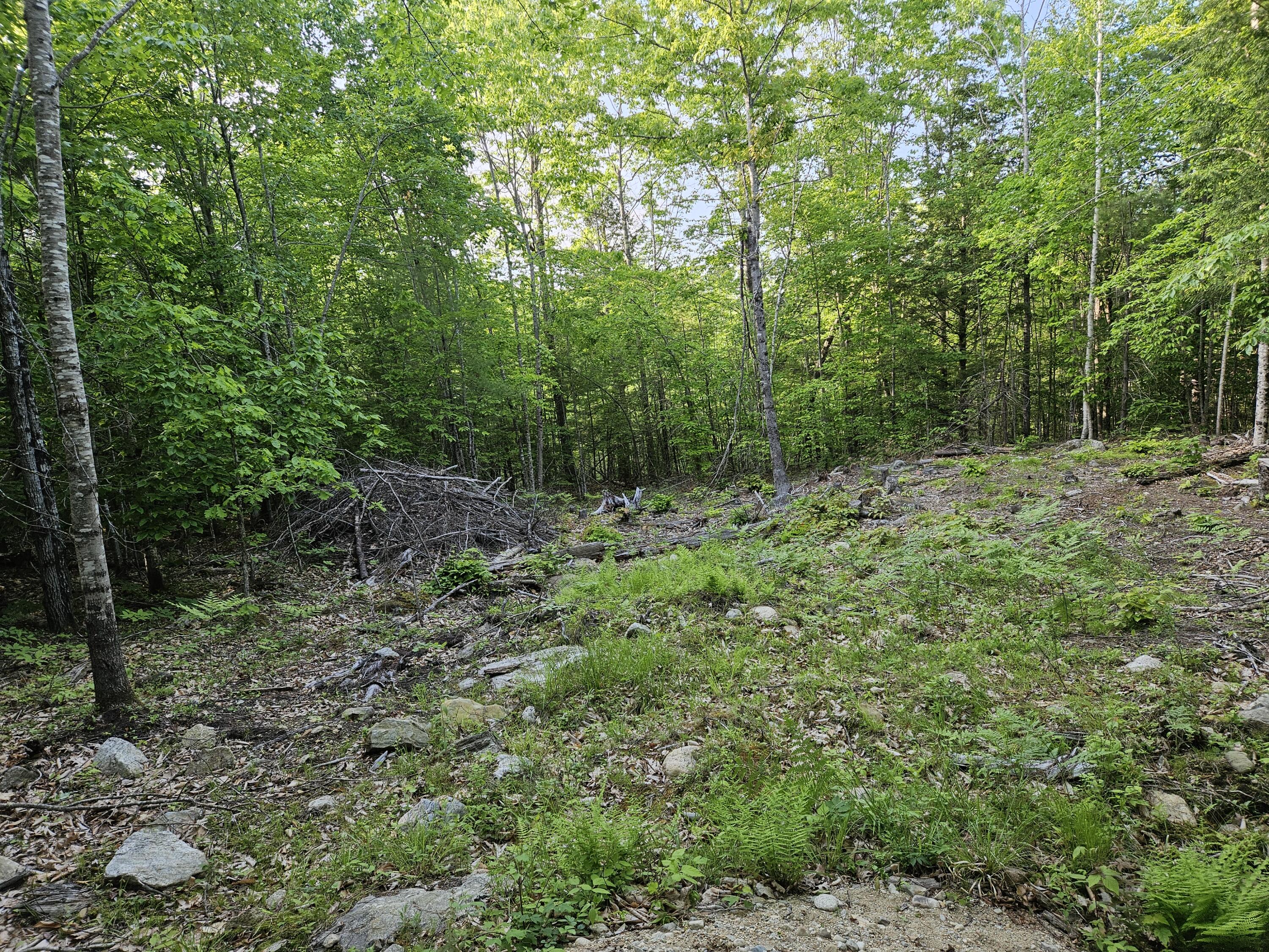 170 Emery Corner Road Limerick, ME 04048 - Photo 6 of 11 20250603_181833