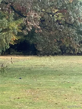 $2,500 | 2392 North Maple Avenue, North Harmony, NY 14710