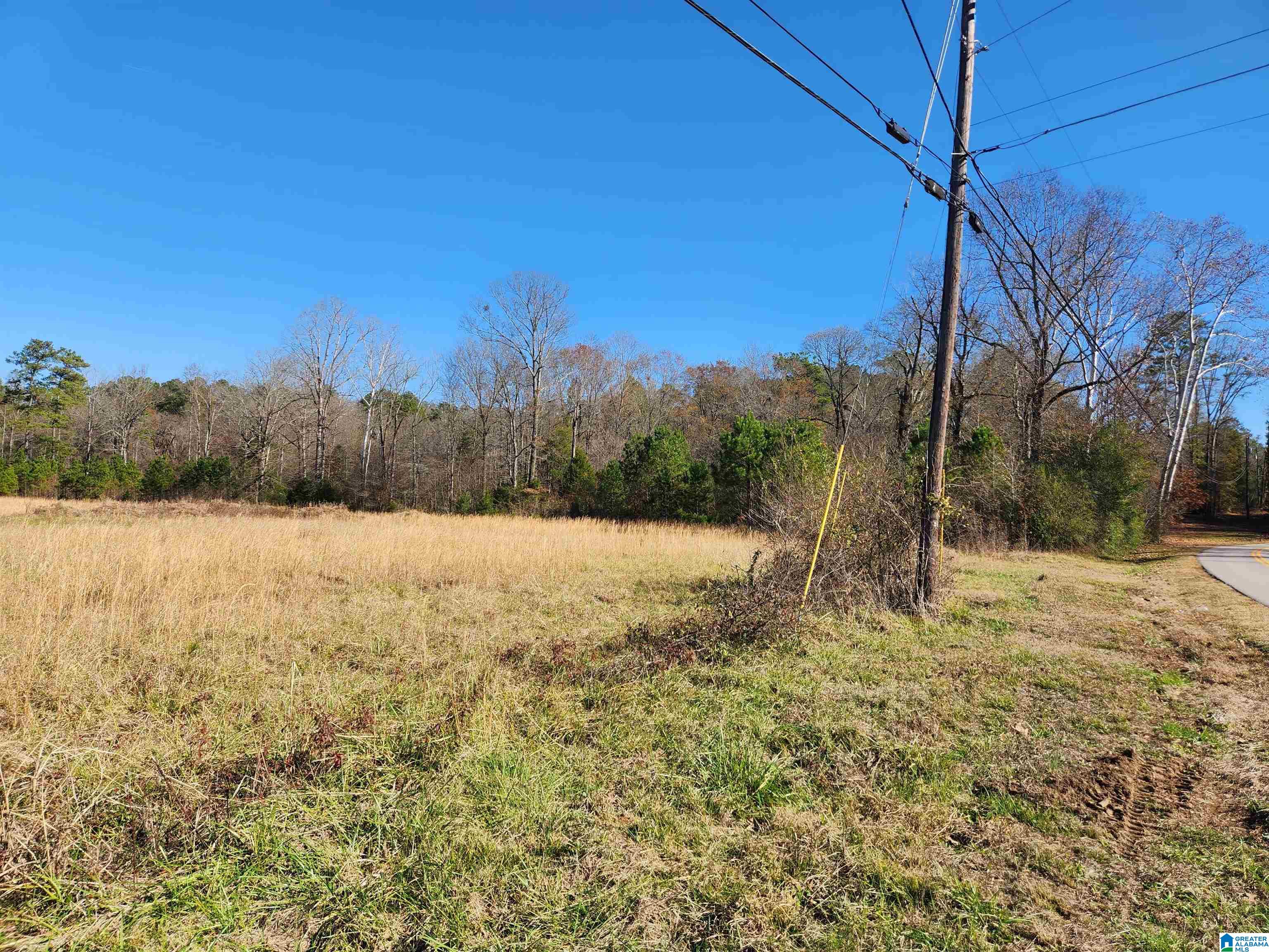 440 Fox Valley Farms Road, Unit 4 Alabaster, AL 35114 - Photo 12 of 12
