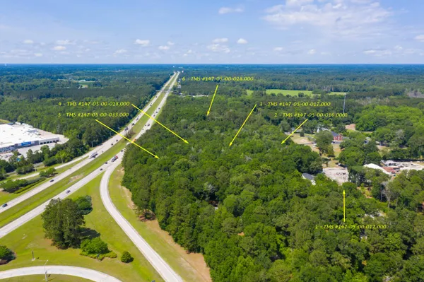 $1,470,000 | 0 Mt Carmel Road, Walterboro, SC 29488