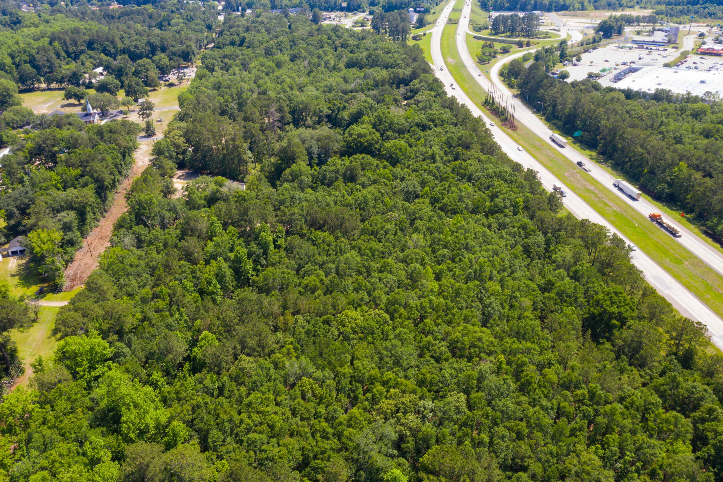 0 Mt Carmel Road Walterboro, SC 29488 - Photo 9 of 12 6