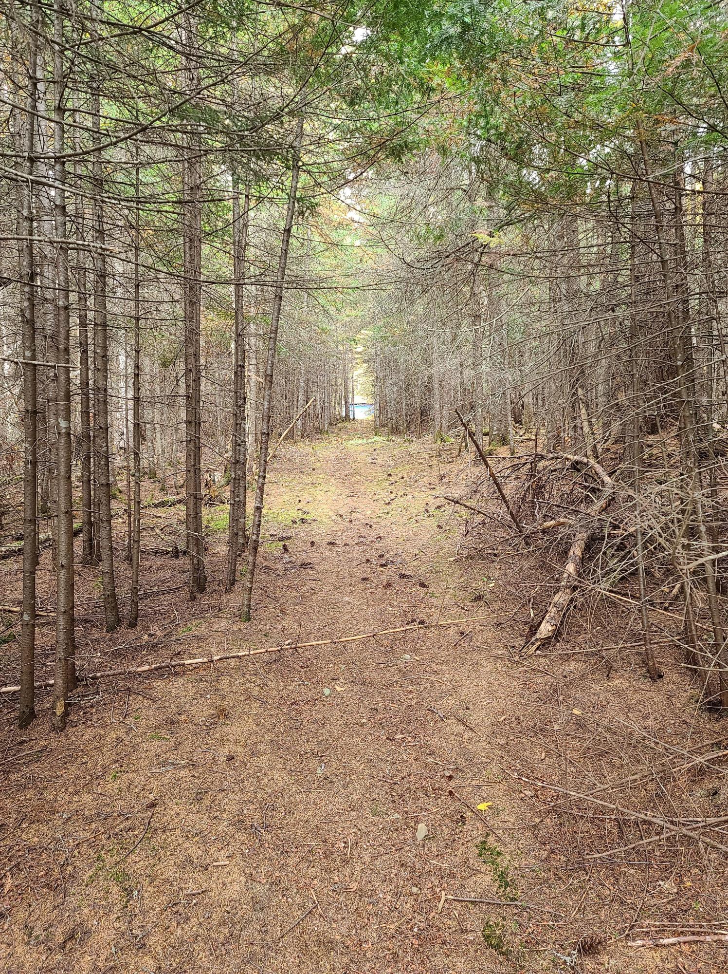 90 Babb Road Rangeley, ME 04970 - Photo 5 of 12 1