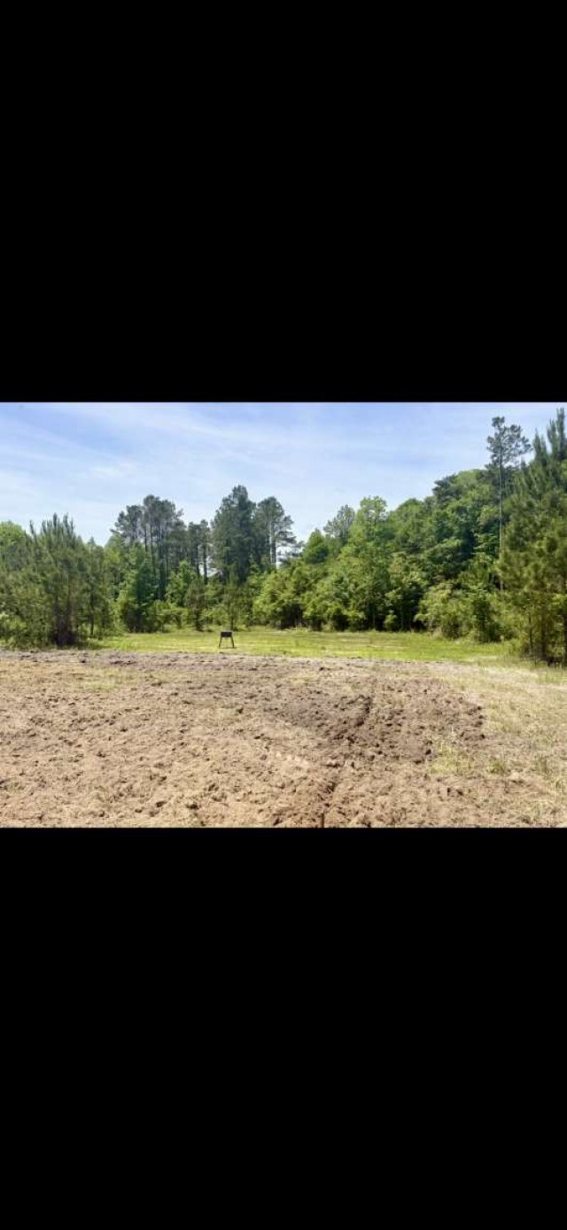 0 Sealy Wells Road Gordon, AL 36343 - Photo 9 of 25