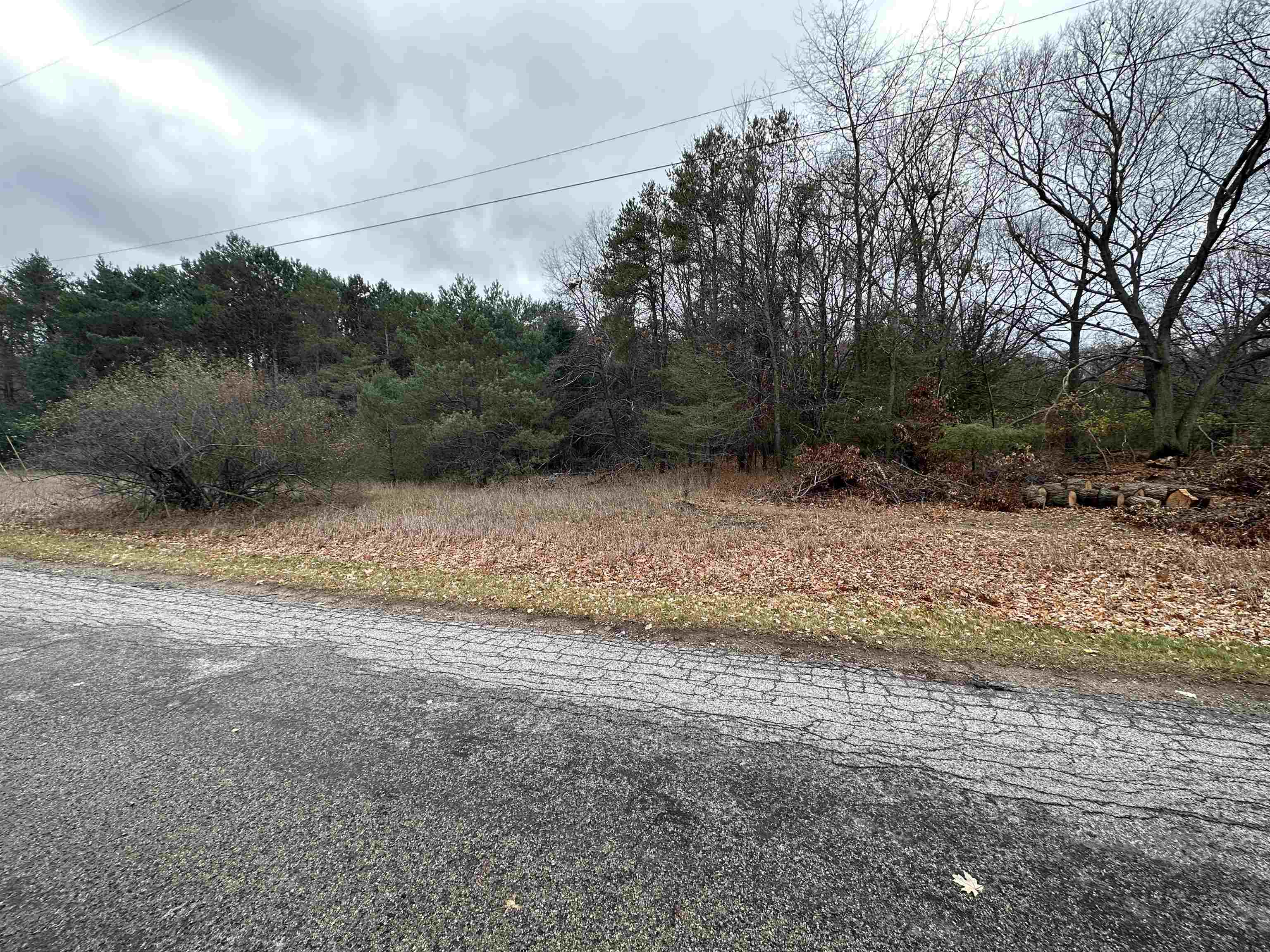 V/l Cherry Road Manistee, MI 49660 - Photo 4 of 10