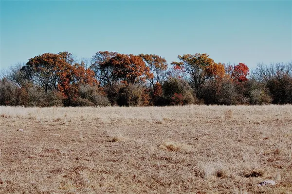 a view of a dry yard