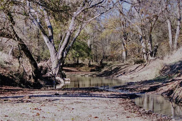 a view of a yard with trees