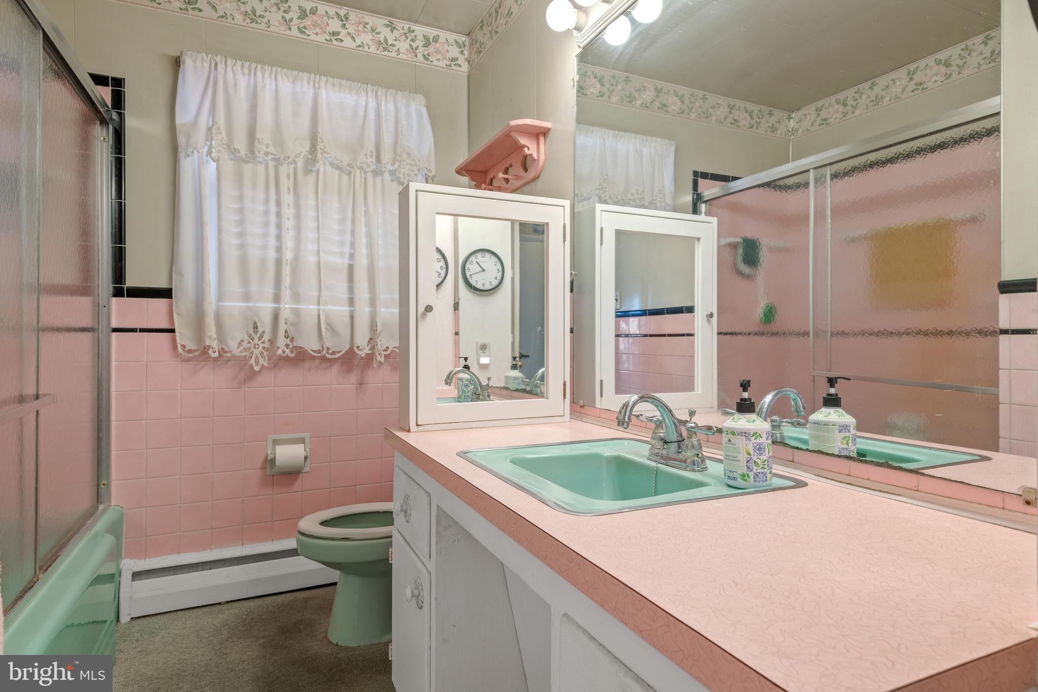 161 Lewis Road Annville, PA 17003 - Photo 21 of 42 Cheerful retro bath w tub/shower combo