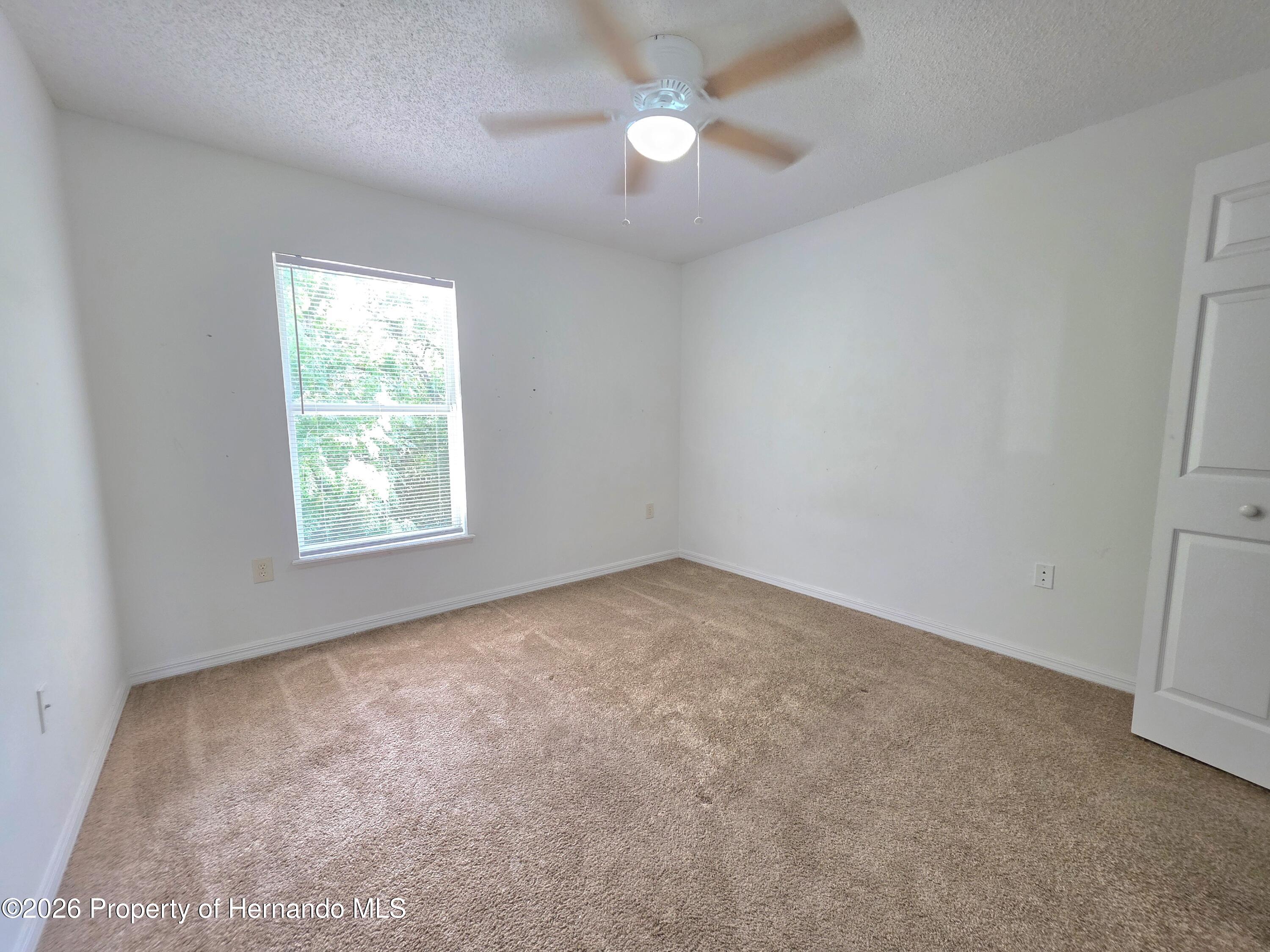 9055 Pemberton Street Spring Hill, FL 34608 - Photo 13 of 34