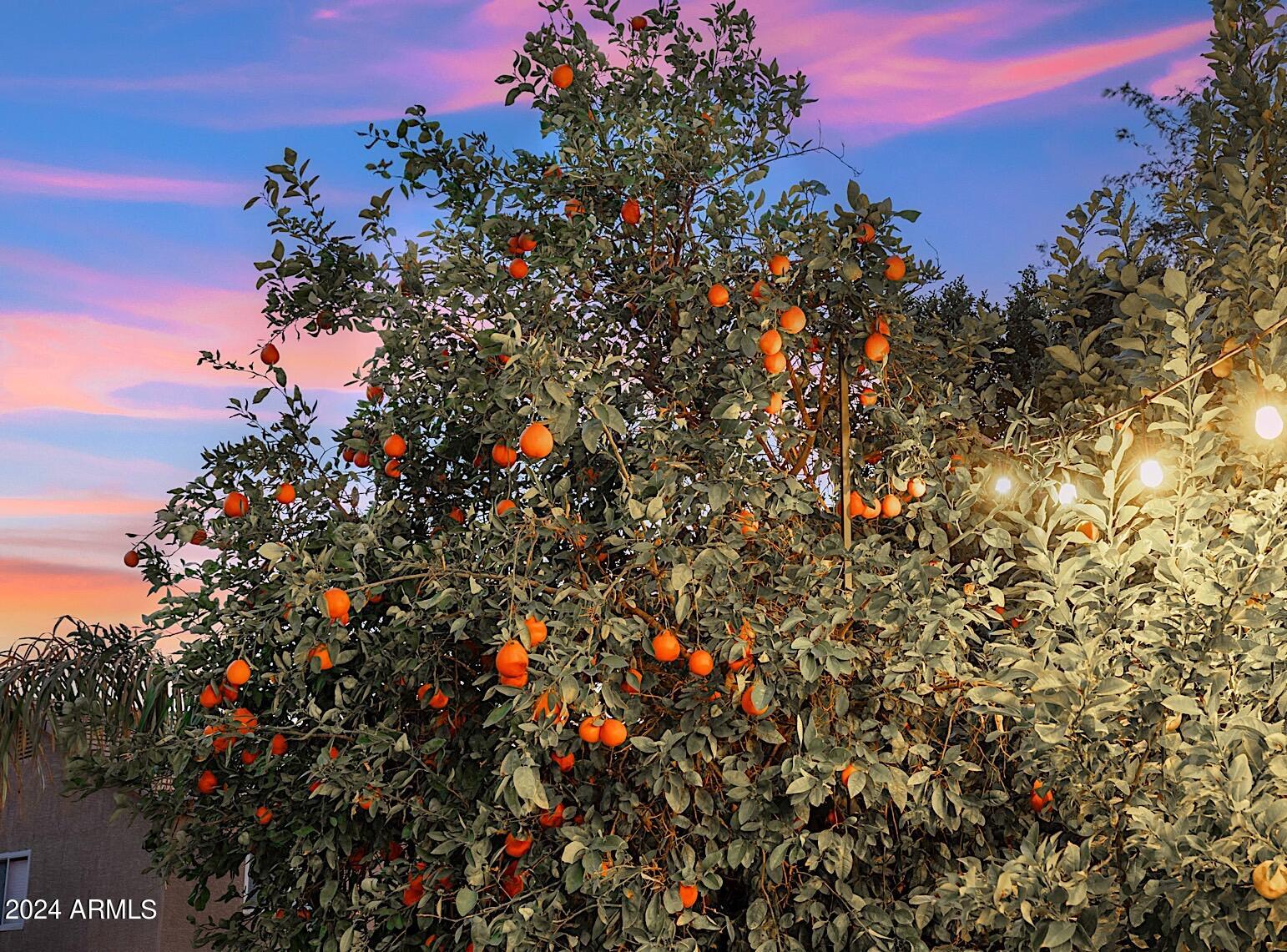 1125 East Irma Lane Phoenix, AZ 85024 - Photo 12 of 54 02-DSC09603