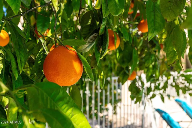 $10,000 | 1125 East Irma Lane, Phoenix, AZ 85024