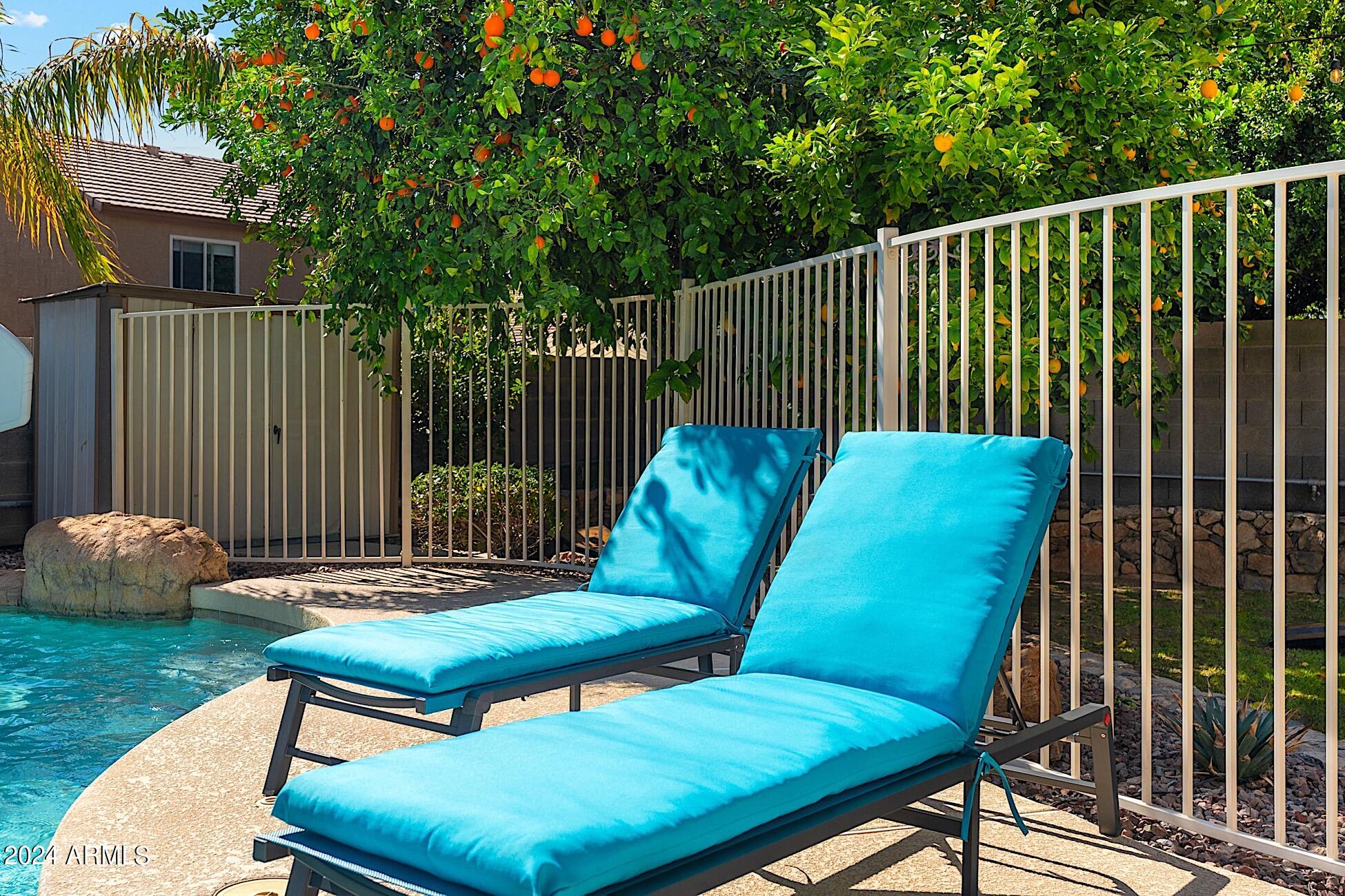 1125 East Irma Lane Phoenix, AZ 85024 - Photo 53 of 54 52-DSC09566