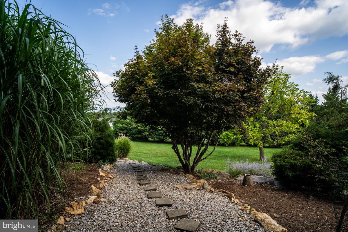 190 Ridgemore Drive Raphine, VA 24472 - Photo 43 of 95 Gallery Image 43
