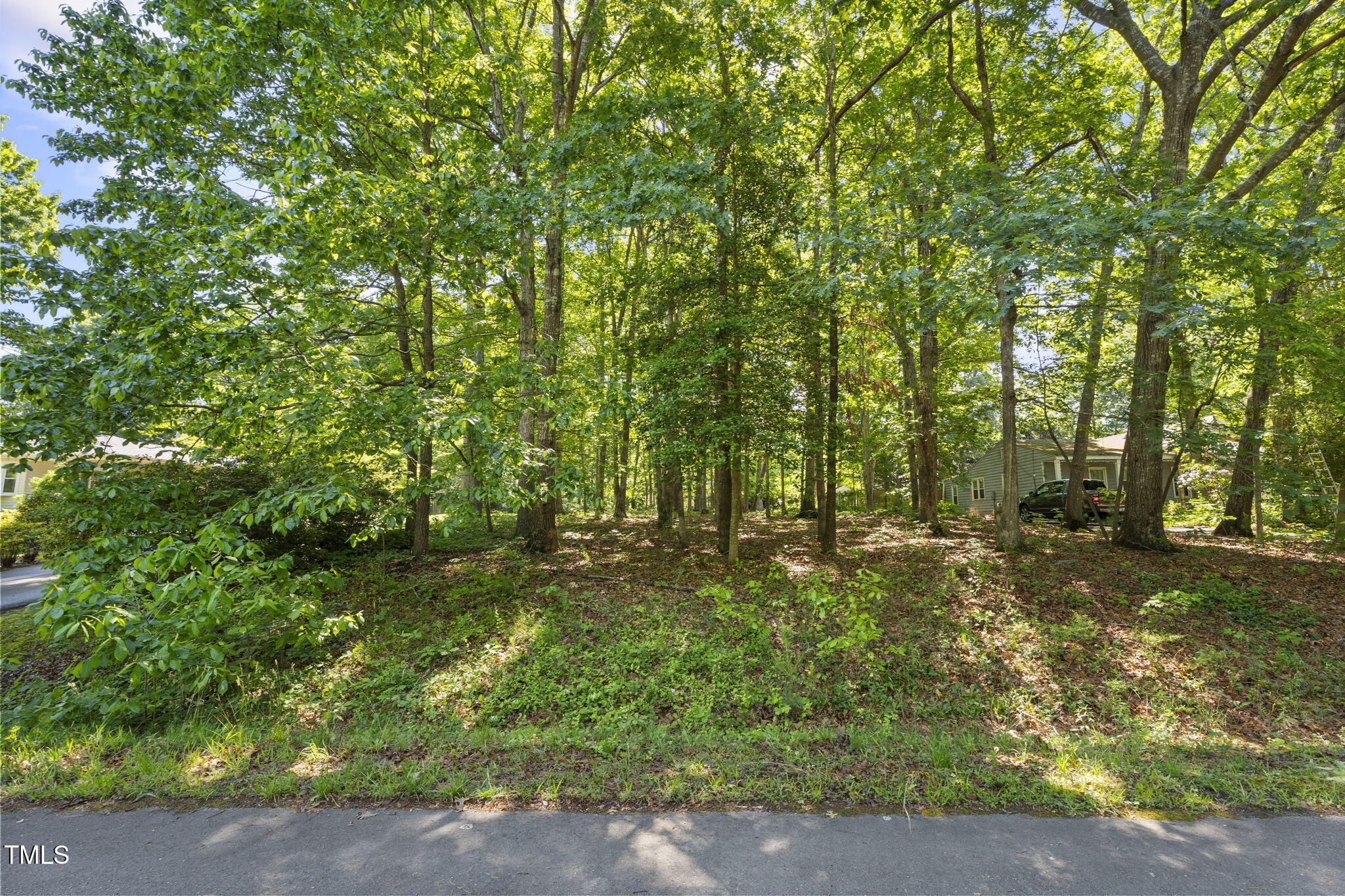 5523 Spring Road Raleigh, NC 27603 - Photo 3 of 9