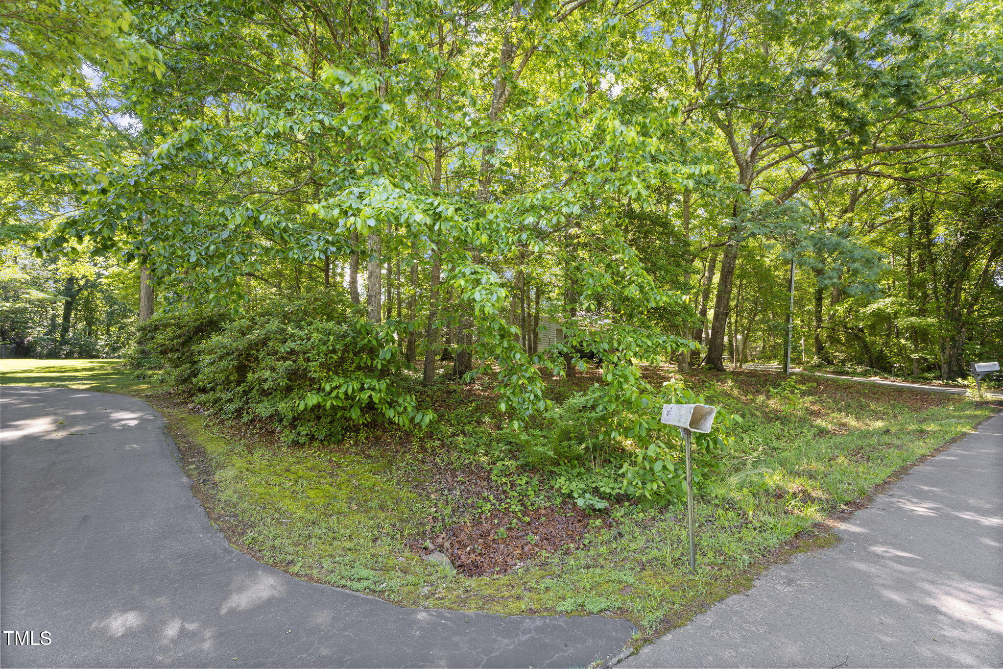 5523 Spring Road Raleigh, NC 27603 - Photo 5 of 9 a view of a yard with plants and trees