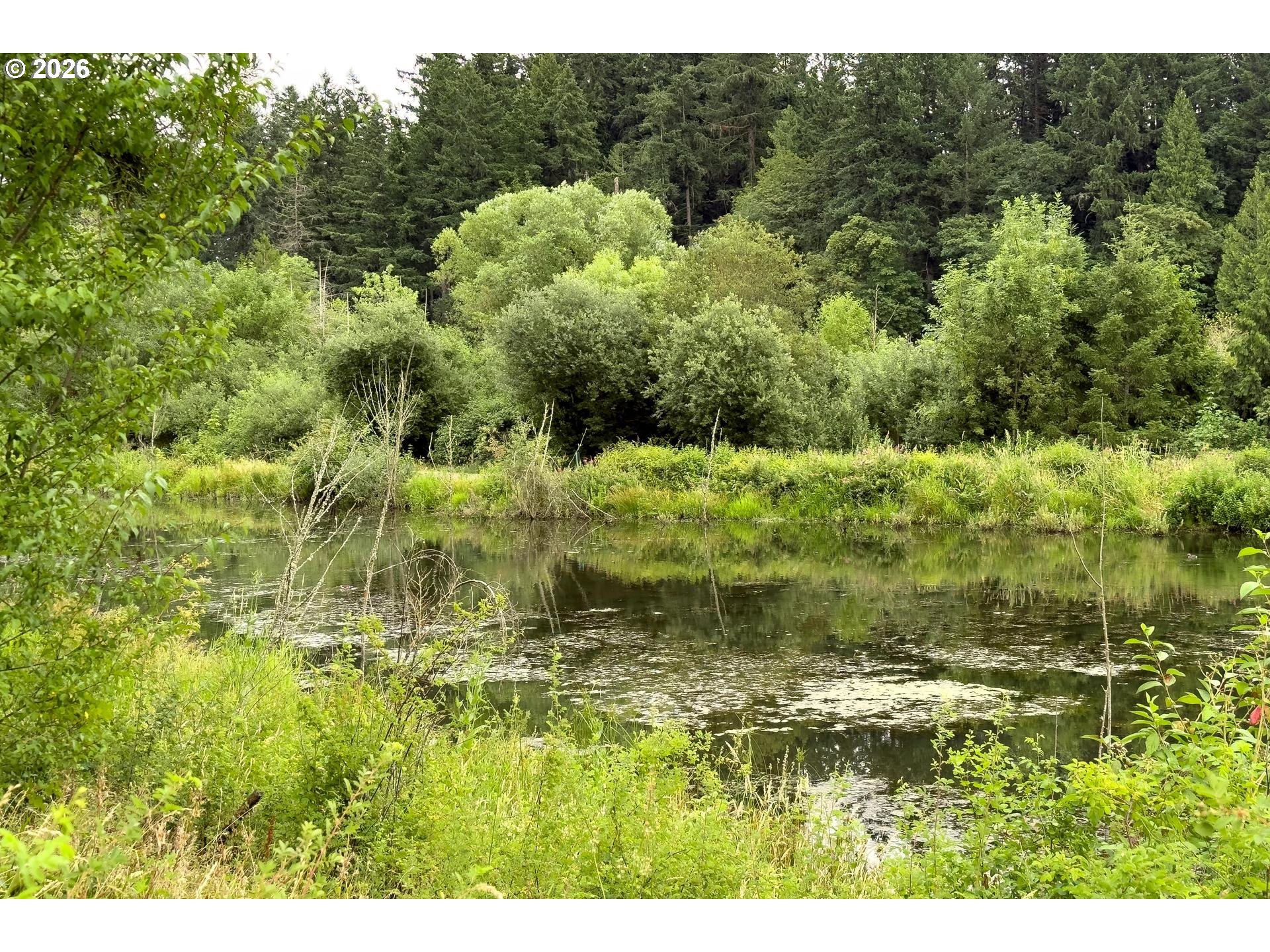 217 Northwest 117th Loop Portland, OR 97229 - Photo 45 of 47