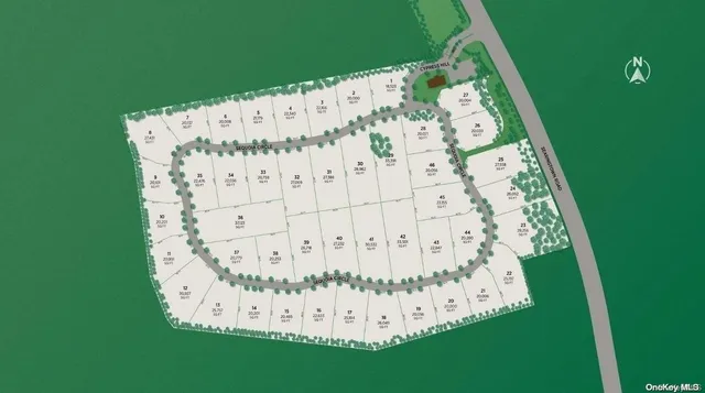 a view of a small garden