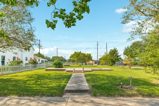 a view of a park with large trees
