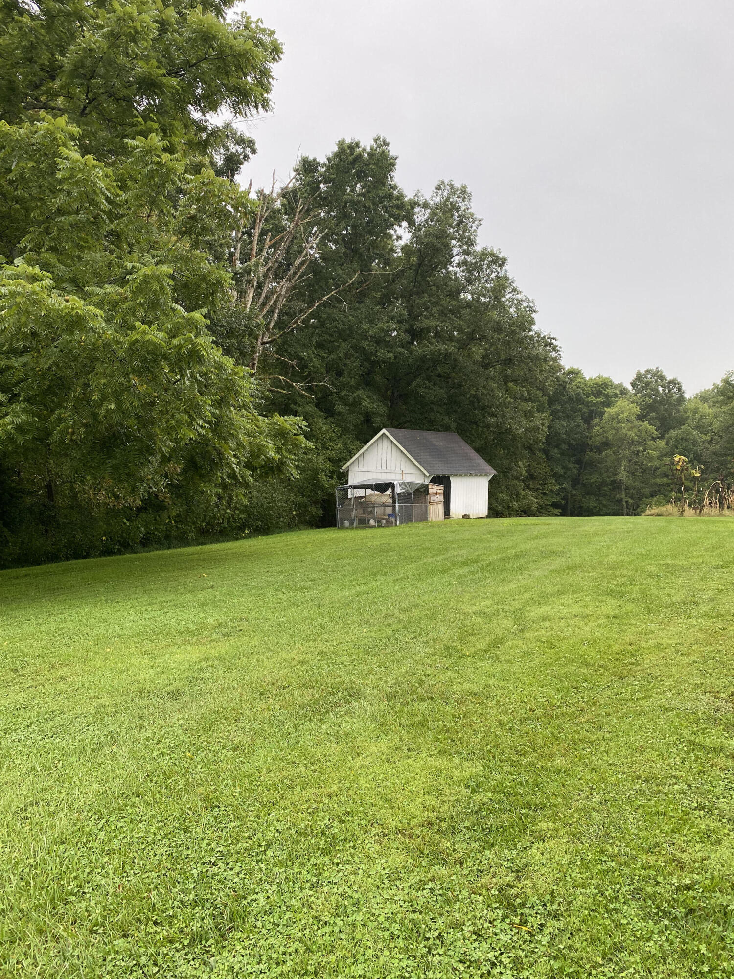 430 Derrickson Road Morehead, KY 40351 - Photo 57 of 74 IMG_5965