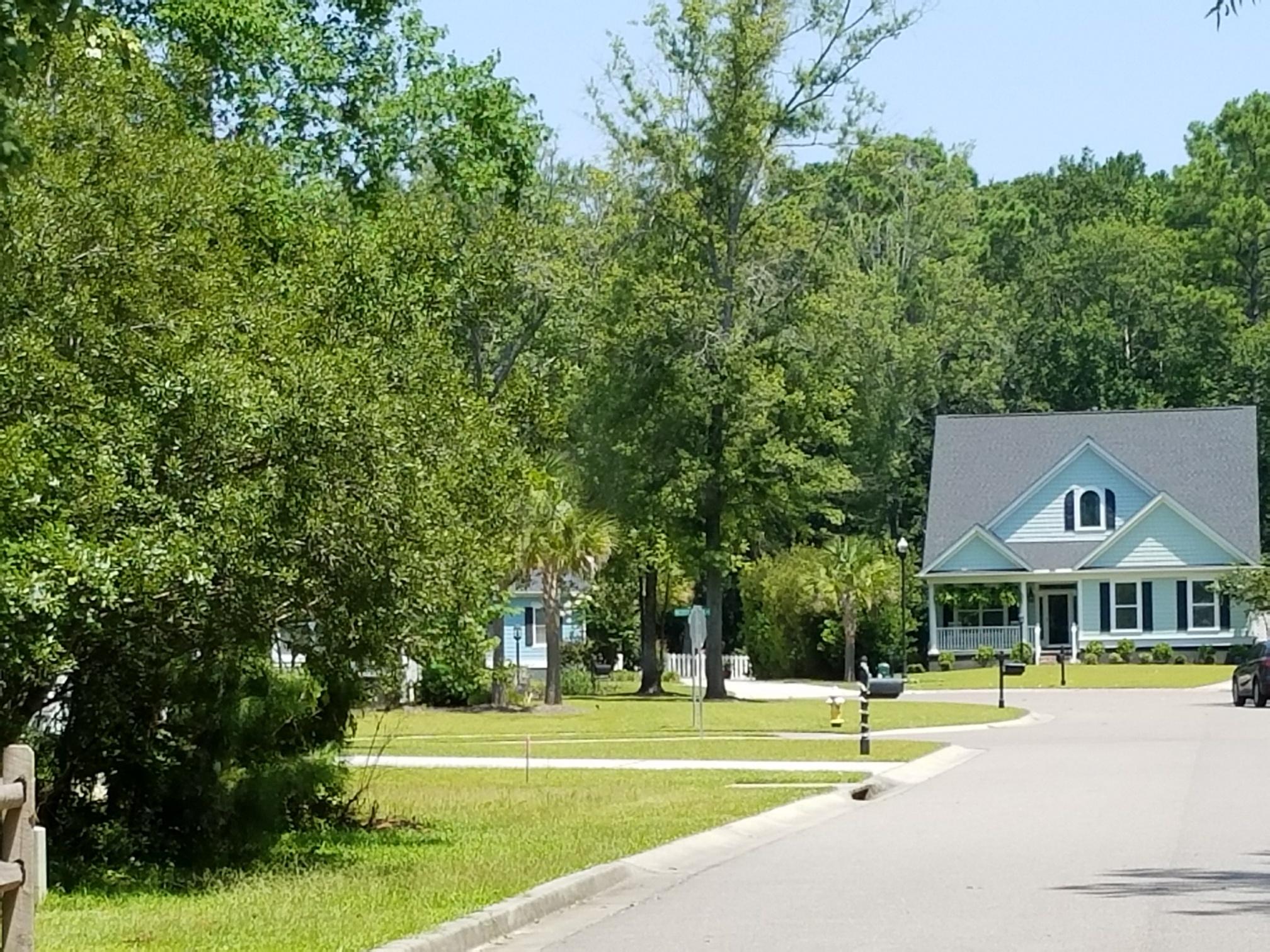1010 Randy Kinard Lane Hanahan, SC 29410 - Photo 22 of 34 mossy creek street view right