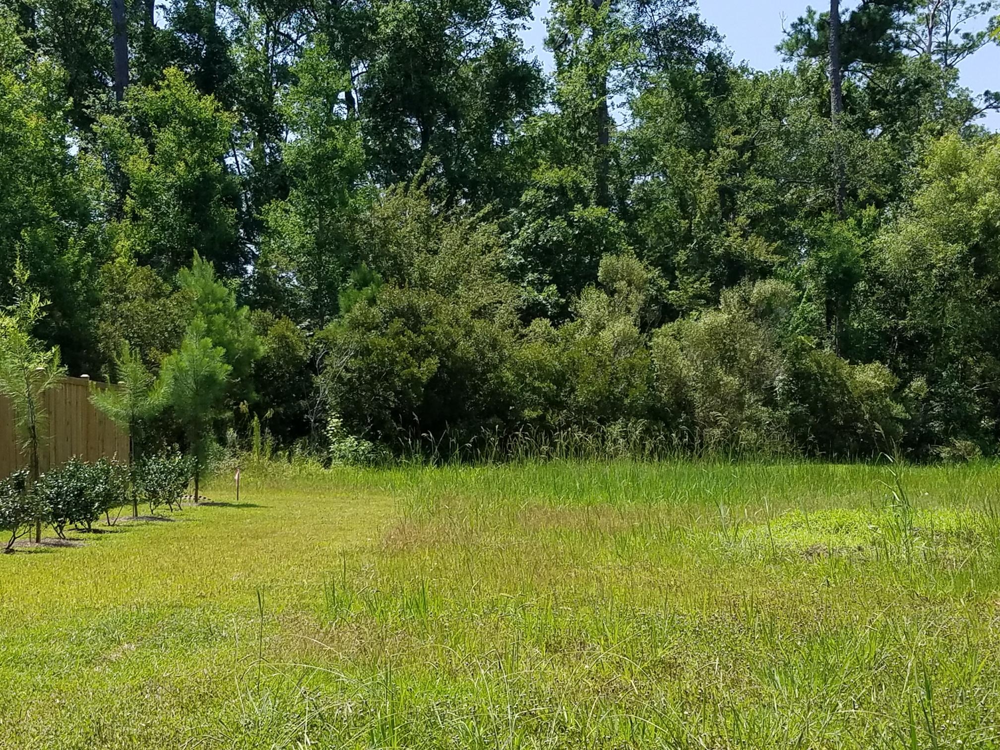 1010 Randy Kinard Lane Hanahan, SC 29410 - Photo 24 of 34 mossy creek back yard
