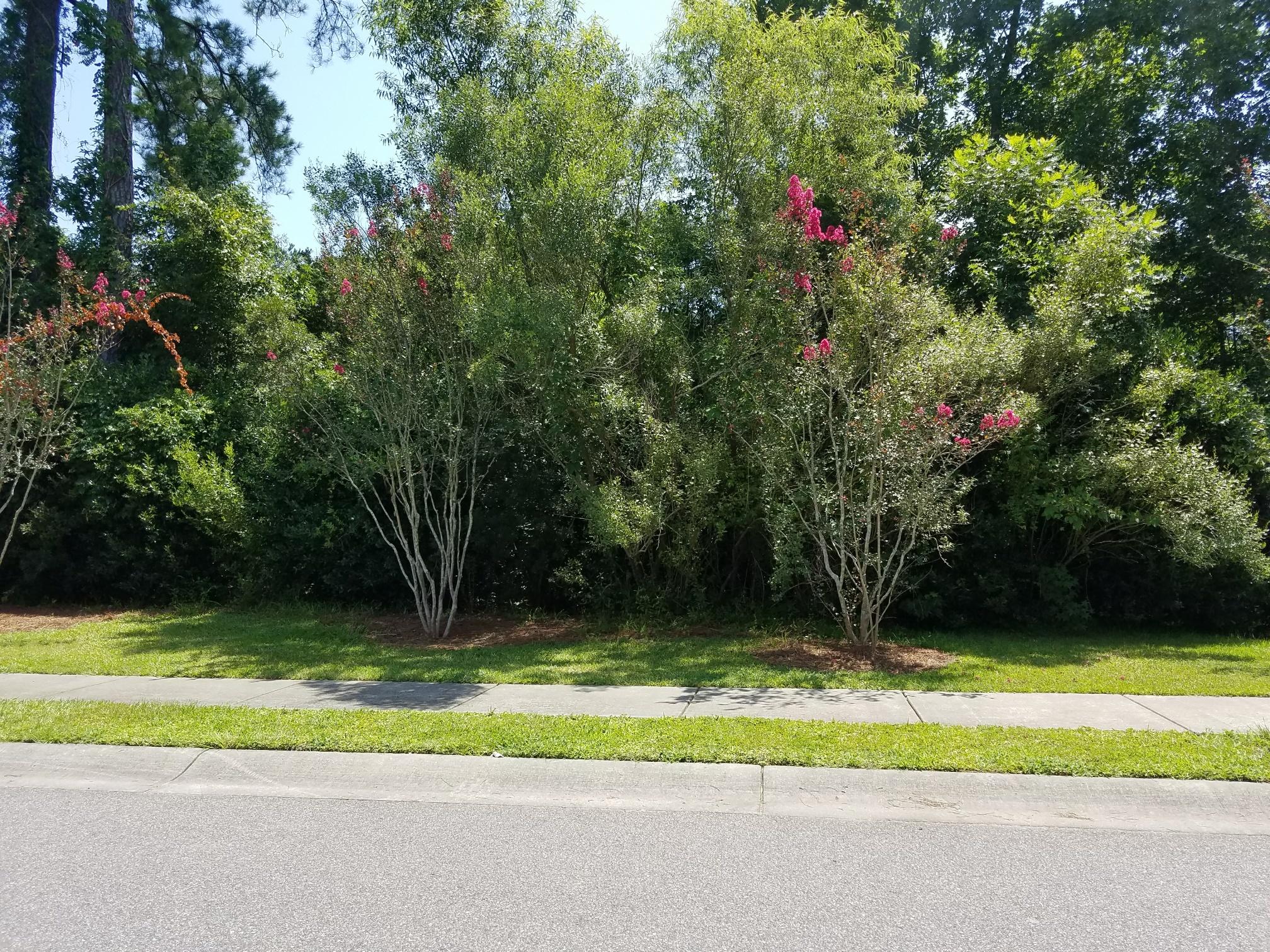 1010 Randy Kinard Lane Hanahan, SC 29410 - Photo 25 of 34 mossy creek front view
