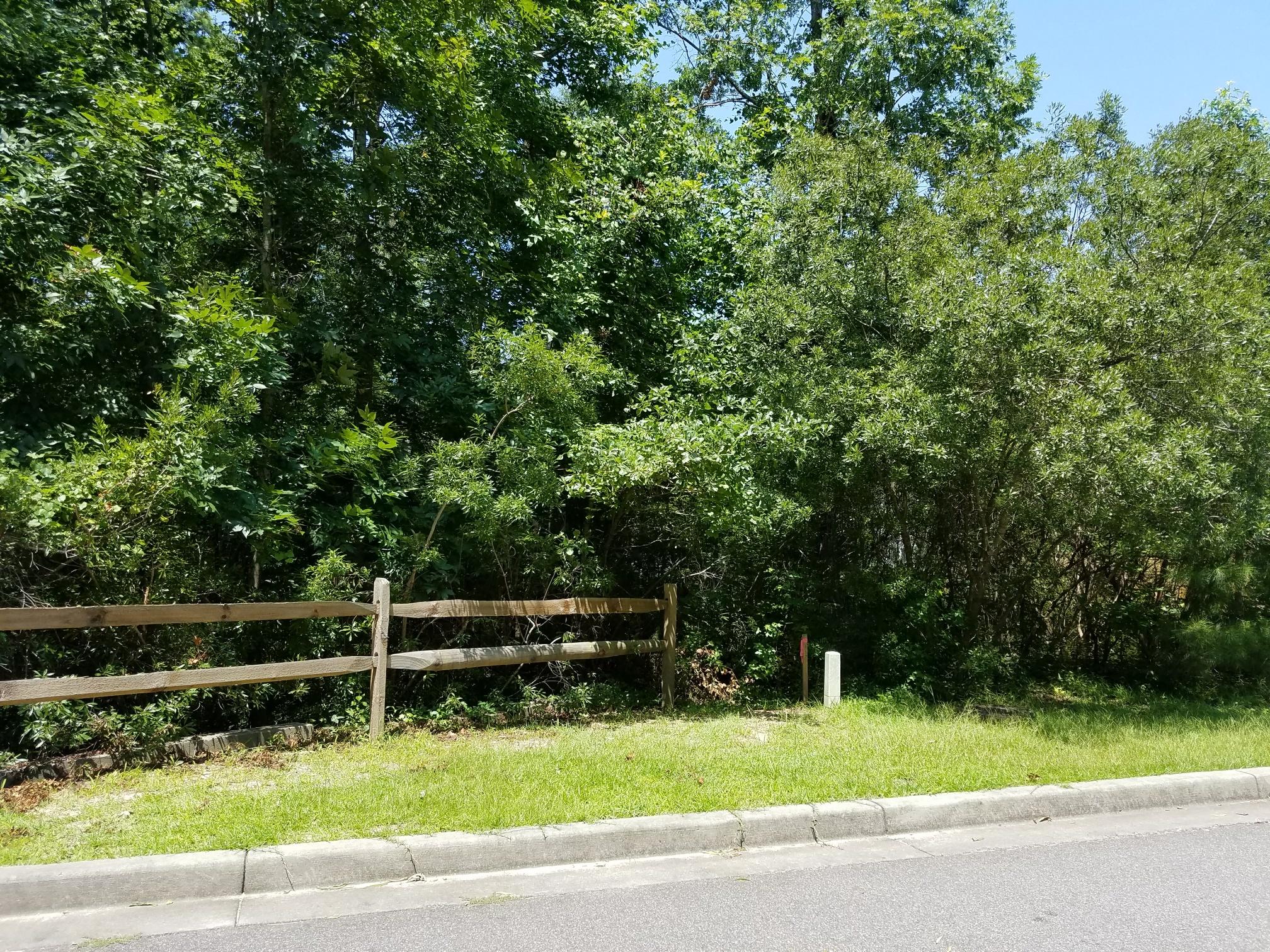 1010 Randy Kinard Lane Hanahan, SC 29410 - Photo 26 of 34 mossy creek left