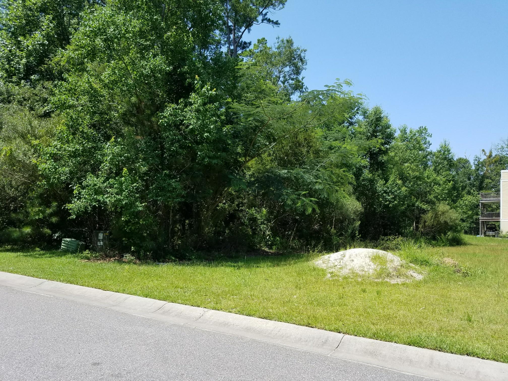 1010 Randy Kinard Lane Hanahan, SC 29410 - Photo 5 of 34 mossy creek home site