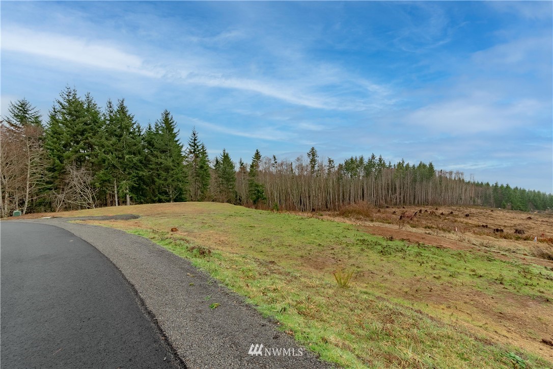 520 Red Hawk Drive Castle Rock, WA 98611 - Photo 12 of 16 a view of a yard with an trees