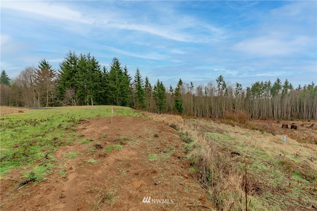 520 Red Hawk Drive Castle Rock, WA 98611 - Photo 13 of 16 a view of a field with trees in the background