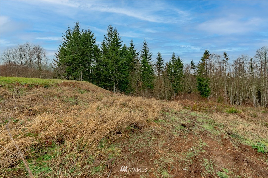 520 Red Hawk Drive Castle Rock, WA 98611 - Photo 14 of 16 a view of a yard with trees in the background