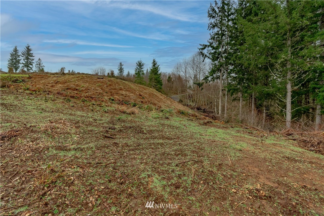 520 Red Hawk Drive Castle Rock, WA 98611 - Photo 16 of 16 a view of a yard with an trees