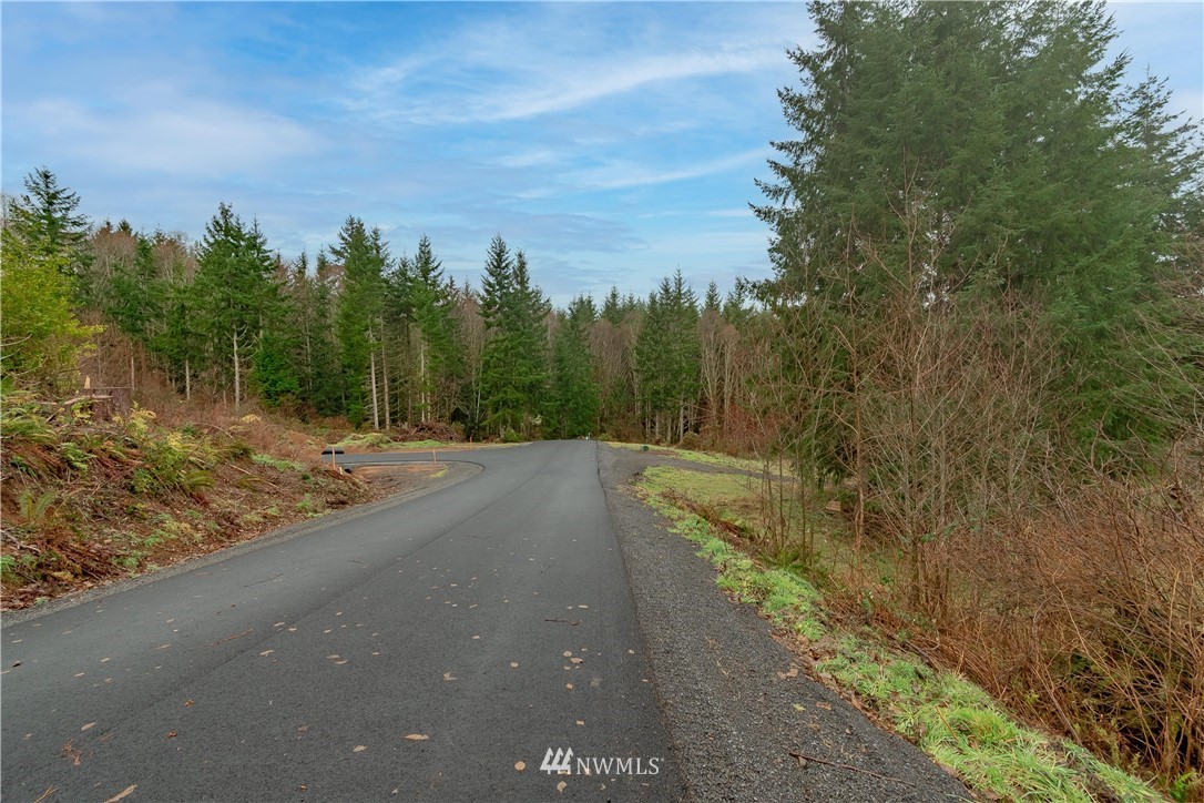 520 Red Hawk Drive Castle Rock, WA 98611 - Photo 10 of 16 a view of a street
