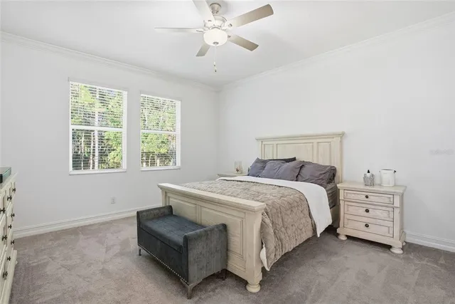 a spacious bedroom with a bed and a window