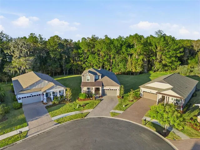 an aerial view of a house with a garden