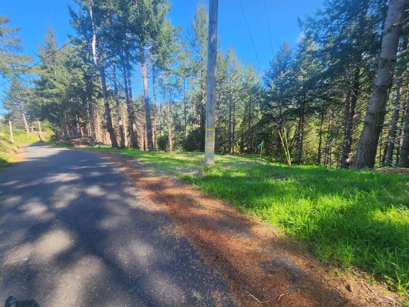 181 Ridge Road Shelter Cove, CA 95589 - Photo 9 of 9