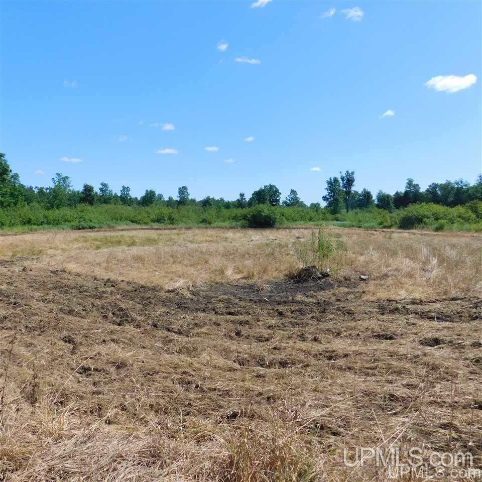 Tbd Lantz Road Ralph, MI 49877 - Photo 35 of 47