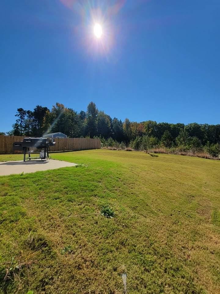 549 Heavenly Days Street Inman, SC 29349 - Photo 8 of 34 Gallery Image 8