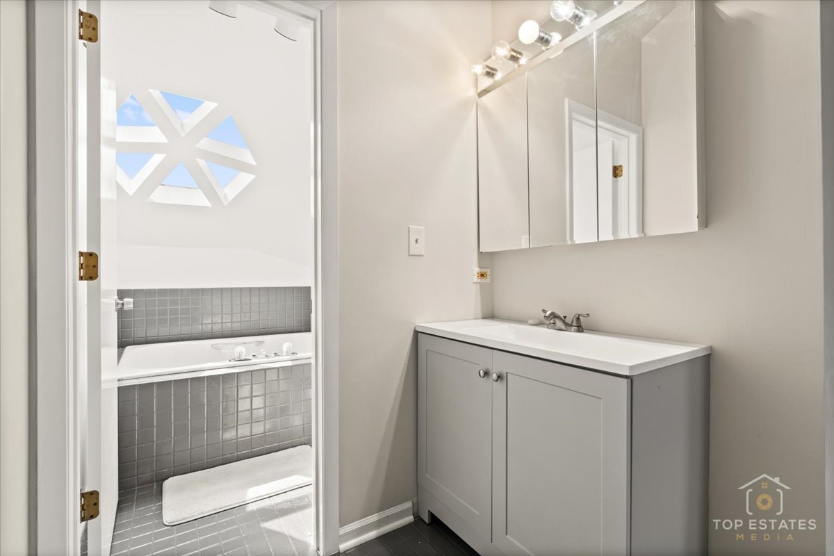 414 Franklin Avenue, Unit 3A River Forest, IL 60305 - Photo 24 of 29 a bathroom with a sink and a mirror