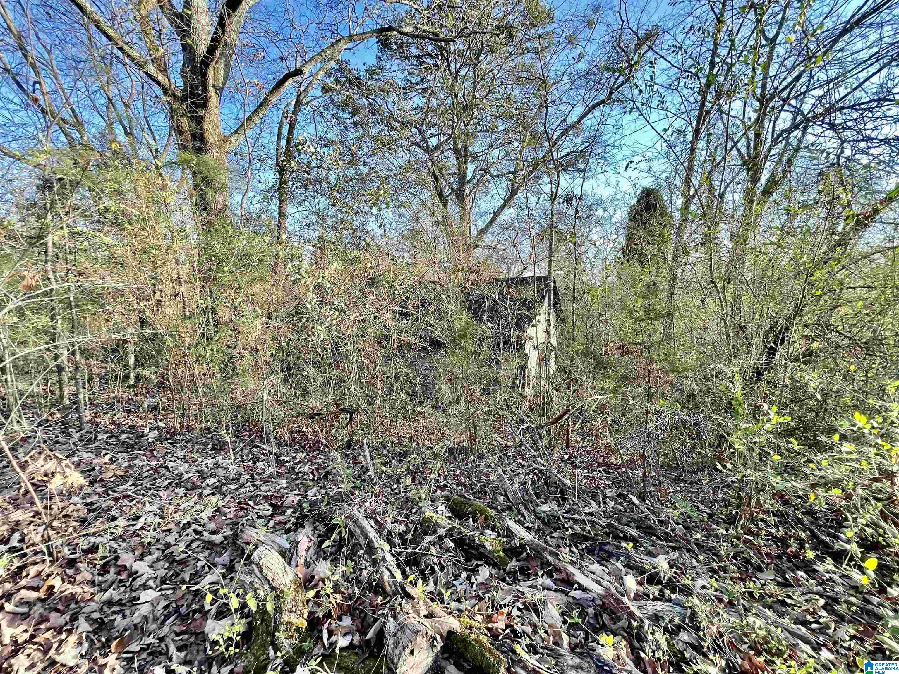 263 Westover Road Anniston, AL 36201 - Photo 22 of 61