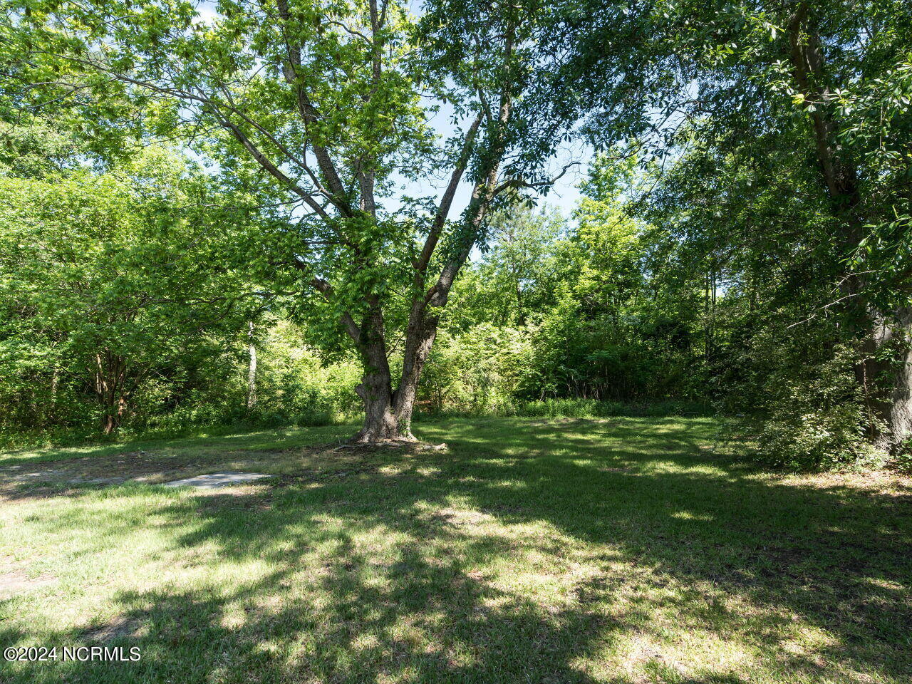 159 Montgomery Heights Road Selma, NC 27576 - Photo 24 of 28 024-1280x960-159-montgomery-heights